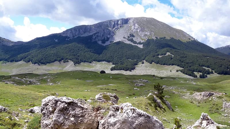 Exploring the Pollino National Park: Adventures and Wonders