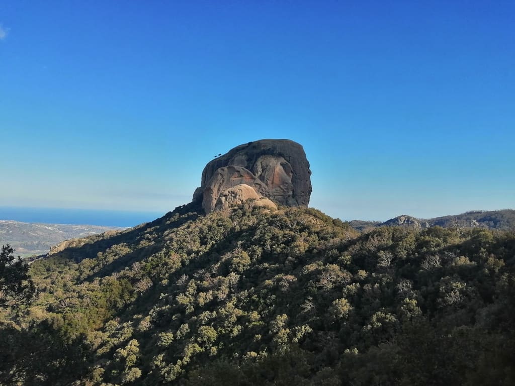 Exploring the Aspromonte National Park: What to See and What to Do