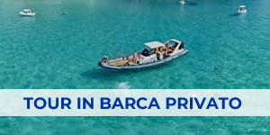 Tour in barca privato Tropea