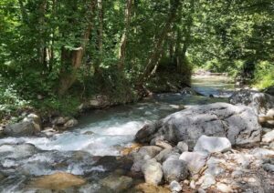 Escursione Valle del fiume Argentino