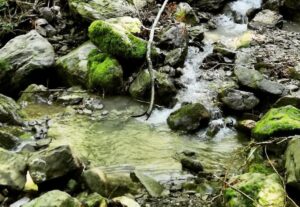 Trekking Fiumarella di Rossale