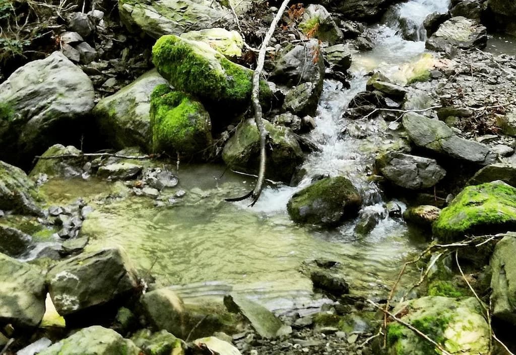 Trekking Fiumarella di Rossale