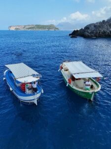 Barca Maria S.S del Carmine e Tortuga in navigazione Gite in Barca Isola di Dino da Scalea