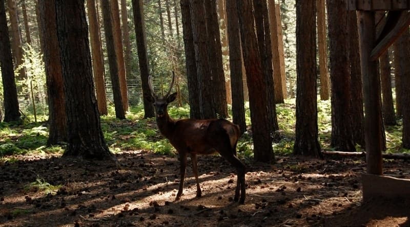 Escursione Riserva Poverella