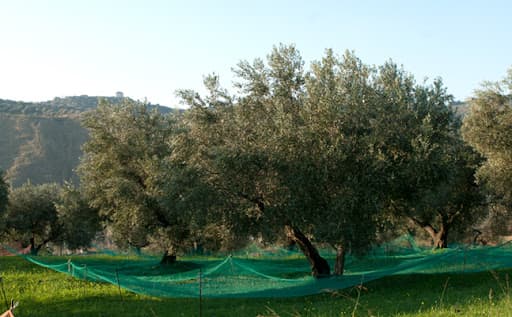 Trekking Rurale a Cleto