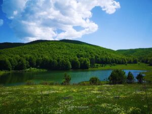 Escursione Naturalistica Monte Gariglione e la Finestra del Tacina