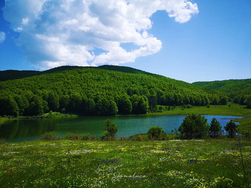 Escursione Naturalistica Monte Gariglione e la Finestra del Tacina
