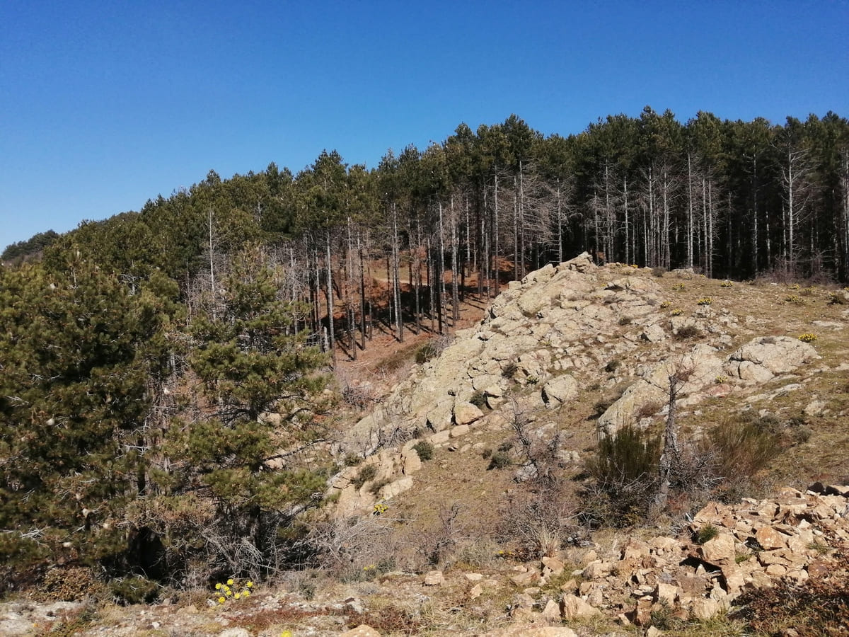 Roghudi Vecchio lo splendido paesaggio - Aspromonte
